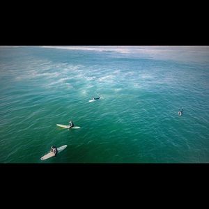 Meet your Posher, Ryann